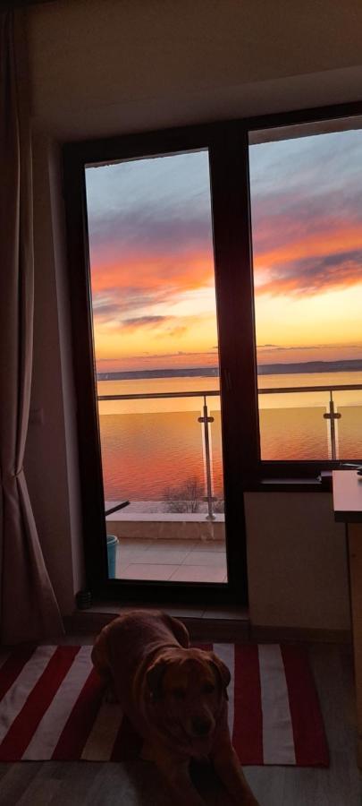 Bella Vista Summerland Mamaia Eksteriør billede